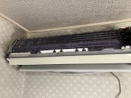 IMG_10771
