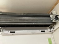 IMG_1128