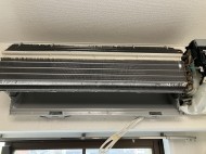 IMG_1173