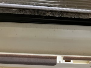 IMG_12011