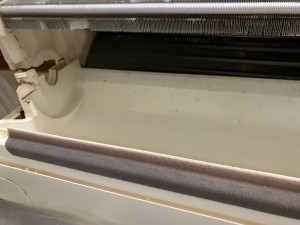 IMG_12031