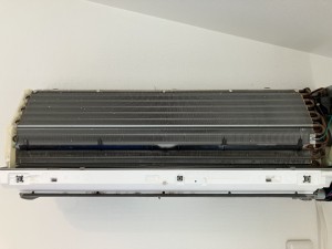 IMG_12191