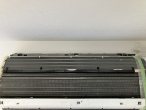 IMG_1230