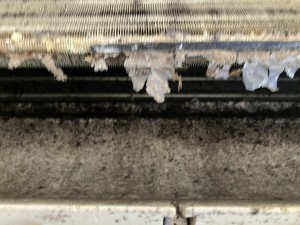 IMG_12841