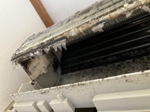 IMG_12861