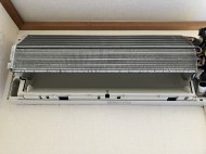 IMG_12891