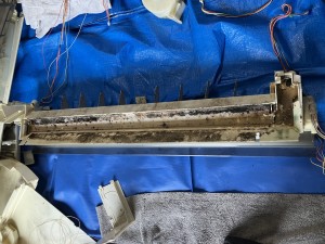 IMG_1319