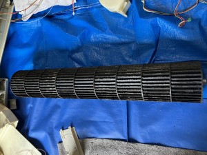 IMG_1320