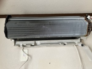 IMG_13371