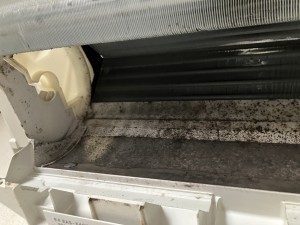 IMG_13401